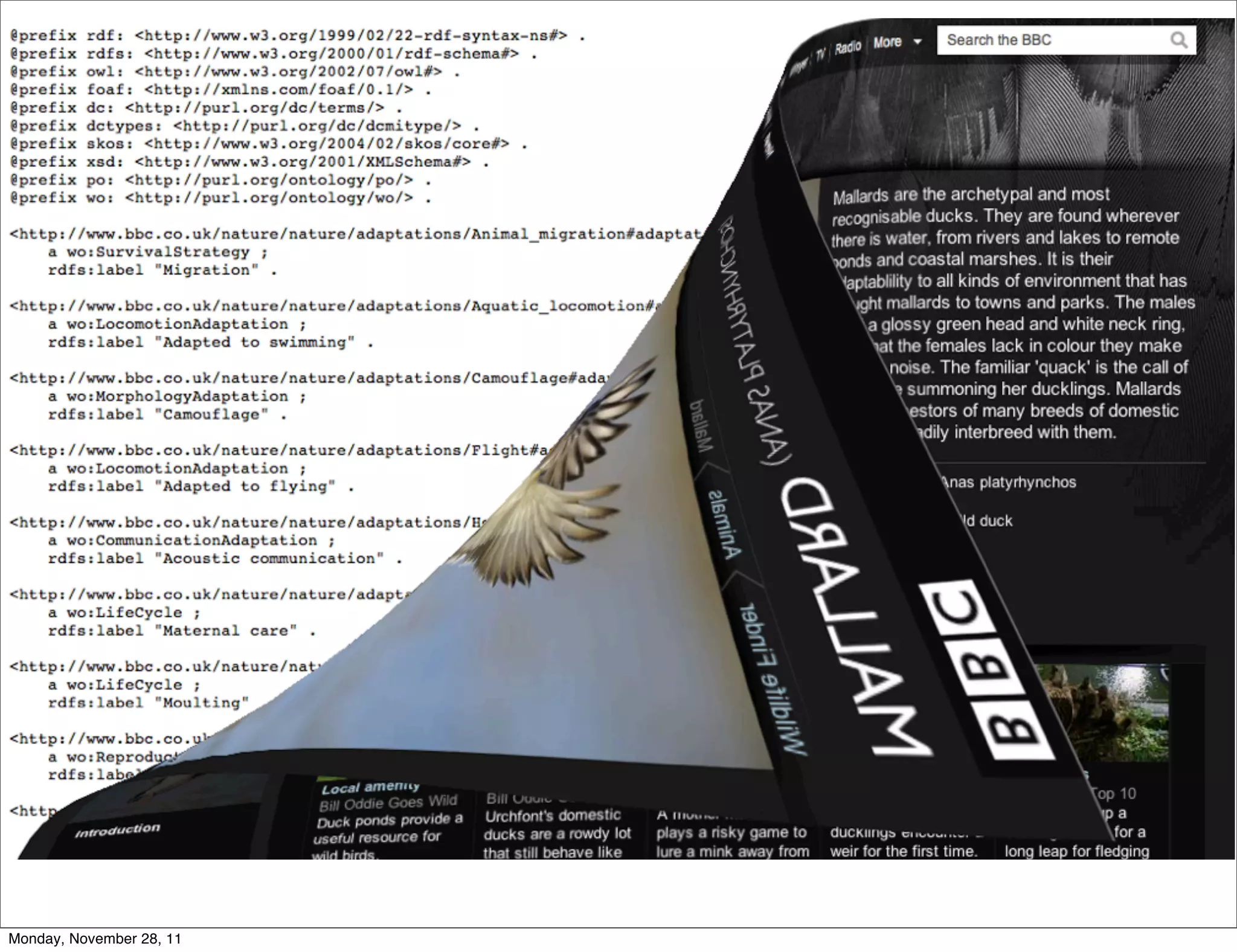 Monday, November 28, 11
 