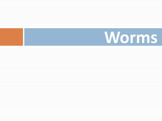 Worms
 