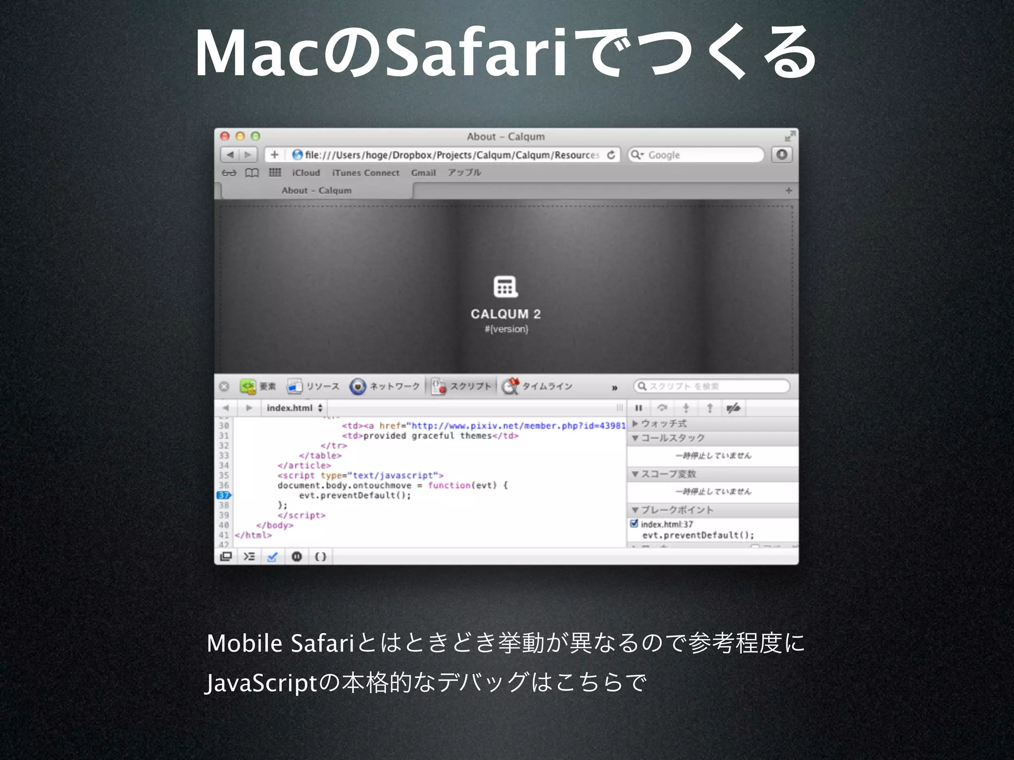 Mac             Safari




Mobile Safari
JavaScript
 
