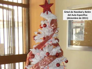 Árbol de Navidad y Belén
   del Aula Específica
  (diciembre de 2011)
 