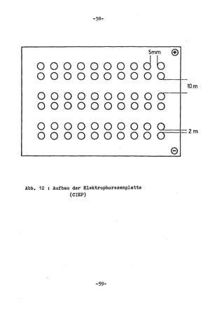 -58-




                                             5mm   ®
    ooooooood6
    OOOOOOOOOO~-I_
                                                       10m
    0000000000
    0000000000
    0000000000
    o 0 0 0 0 0 0 0 0 0;:::===1=2m
                                                   e

Abb. 12 : Aufbau der Elektrophoresenplatte
                (CIEP)




                         -59-
 