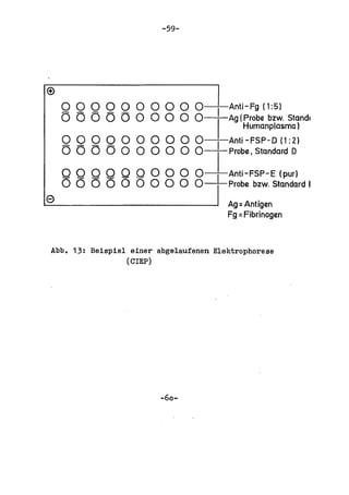 -59-




    o 000 0        0 000         O--Anti-Fg (1:5)
    o C5 (5 (5 0   0 0 0 0       O_I,-A9 (Probe bzw. Stand.
                                          Humanplasma)
    Q QQQ 0 0 0 0 0              O-I-Anti-FSP-O (1:2)
    o 0 0 0 0 0 0 0 0            a-l-prObe. Standard D

    Q Q Q Q Q Q 0 0 0            O-I-Anti-FSP-E (pur)
    o 0 0 0 0 0 0 0 0            O--Probe bzw. Standard I
e                                       Ag= Antigen
                                        Fg =Fibrinogen



Abb. 13: Beispiel einer abgelaufenen Elektrophorese
                 (CIEP)




                          -60-
 