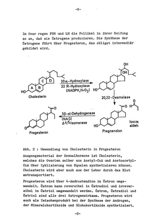 -8-




lm Oval' regen FSH und LH die Follikel in ihrer Reifung
so an, daB sie tlstrogene produzieren. Die Synthese del'
IJstrogene fUhrt Uber Progesteron, das obligat intermedi!!.r
gebildet wird.



                                                                   OH


                        20d.-Hydroxylase ...
                        22 R-Hydroxylase
HO                         (NADPH H+02 1 HO
                                       j



     Cholesterin



                         3~-ot-Dehydrogenase
                       4t(NADI
                         b. 4;'5..1 some rase                           Isocal
                                                HO                      atdeh
     Progesteron                                     Pregnenolon



Abb. 2    I   Umwandlung von Cholesterin in Progesteron
Ausgangsmaterial del' Sexualhormone ist Cholesterin,
welohes die Ovarien selbeI' aus Acetyl-CoA und Acetoaoetyl-
CoA Uber Zyklisierung von Squalen synthetisieren konnen.
Cholesterin wird abel' auch aus del' Leber duroh das Blut
antransportiert.
Progesteron wird Uber 4-Androste~dion in /)stron umge-
wandelt. /)stron kann reversibel in tistradiol und irrever-
sibel in /)striol umgewandelt werden. /)stron, /)stradiol und
/)striol sind alle drei tlstrogenwirksam. Progesteron wird
auch als Zwisohenprodukt bei del' Synthese del' Androgen,
del' Mineralokortikoide und Glukokortikoide synthetisiert.

                                   -9-
 