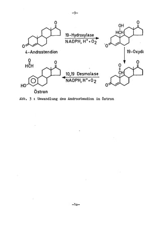 -9-

                 o

                      19 - Hydroxyla se
                                          ...
 o                                              '0
  4-Androstendion

                 o                                   o
                                                     II
                                                     CH
                                                          !
                                                          19-0xydc

                                                              0

                       10, 19 Desmolase
                     ·NADPH1 H++02
HO
       Ostron                                   °
Abb. 3 ; Umwandlung des Androstendion in 5stron




                          -10-
 