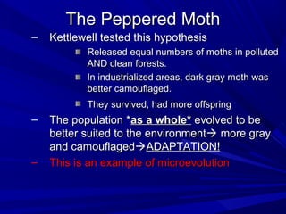2011 15 ppt evolution and natural selection | PPT