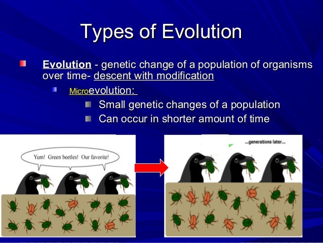 Is Natural Selection Chance Variation Is Natural Selection Chance Variation