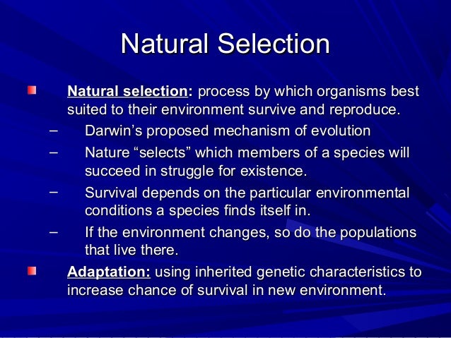 What Does Natural Selection Work On Within A Population What Does Natural Selection Work On Within A Population
