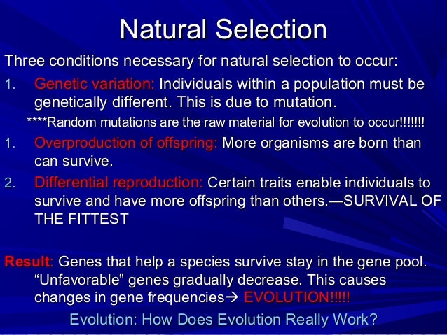 What Causes Natural Selection To Occur What Causes Natural Selection To Occur