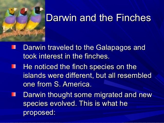 The Galapagos Finches Evolved Through Natural Selection The Galapagos Finches Evolved Through Natural Selection