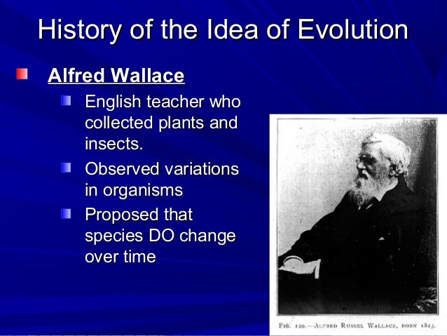 Theory Of Natural Selection Was Proposed By Theory Of Natural Selection Was Proposed By
