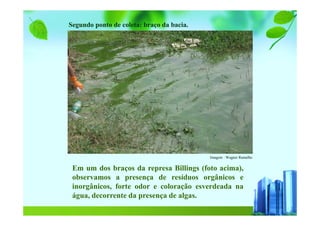 Segundo ponto de coleta: braço da bacia.
Imagem : Wagner Ramalho
Em um dos braços da represa Billings (foto acima),
observamos a presença de resíduos orgânicos e
inorgânicos, forte odor e coloração esverdeada na
água, decorrente da presença de algas.
 