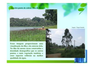 Imagens : Wagner Ramalho
Essas imagens proporcionam uma
visualização da ilha e do entorno dela.
Na ilha há menos áreas construídas e
densidade demográfica que os outros
pontos, e mais vegetação também, e
esses aspectos refletem na melhor
qualidade da água.
Terceiro ponto de coleta: Ilha do Bororé.
 