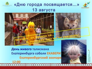 «Дню города посвящается…»  13 августа  День живого  талисмана Екатеринбурга соболя  ЕКАВЕРИ  Екатеринбургский зоопарк,   12:00   Похожи, не правда ли…  В зоопарке еще не то увидишь!.. 