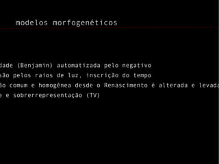 Homogeneidade de espaço e tempo: objeto, imagem e sujeito alinhados 