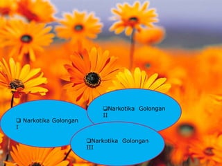  Narkotika Golongan
I
Narkotika Golongan
II
Narkotika Golongan
III
 