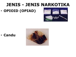 JENIS - JENIS NARKOTIKA
• OPIOID (OPIAD)
• Candu
 