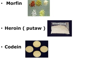 • Morfin
• Heroin ( putaw )
• Codein
 