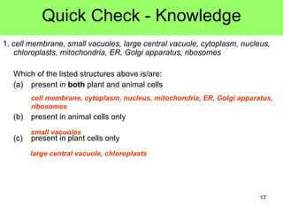 1.  cell membrane, small vacuoles, large central vacuole, cytoplasm, nucleus, chloroplasts, mitochondria, ER, Golgi apparatus, ribosomes Which of the listed structures above is/are: (a) present in  both  plant and animal cells (b) present in animal cells only (c) present in plant cells only Quick Check - Knowledge cell membrane, cytoplasm, nucleus, mitochondria, ER, Golgi apparatus, ribosomes small vacuoles large central vacuole, chloroplasts 