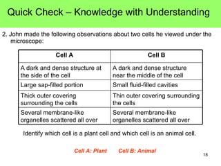 2. John made the following observations about two cells he viewed under the microscope: Identify which cell is a plant cell and which cell is an animal cell.  Quick Check – Knowledge with Understanding Cell A: Plant Cell B: Animal Several membrane-like organelles scattered all over Several membrane-like organelles scattered all over Thin outer covering surrounding the cells Thick outer covering surrounding the cells Small fluid-filled cavities Large sap-filled portion A dark and dense structure near the middle of the cell A dark and dense structure at the side of the cell Cell B Cell A 