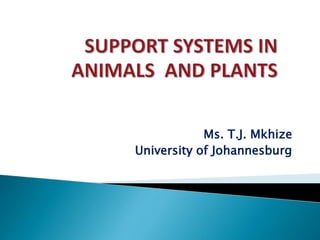 Ms. T.J. Mkhize
University of Johannesburg
 
