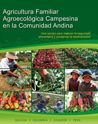 Agricultura Familiar
Agroecológica Campesina
en la Comunidad Andina
Una opción para mejorar la seguridad
alimentaria y conservar la biodiversidad

BOLIVIA

l COLOMBIA l ECUADOR l

PERÚ

 