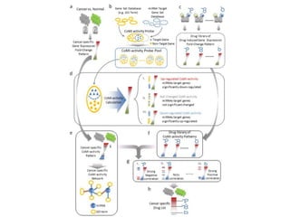 Novel network pharmacology methods for drug mechanism of action ...