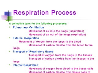 Respiration Process
A collective term for the following processes:
 Pulmonary Ventilation
Movement of air into the lungs (inspiration)
Movement of air out of the lungs (expiration)
 External Respiration
Movement of oxygen from the lungs to the blood
Movement of carbon dioxide from the blood to the
lungs
 Transport of Respiratory Gases
Transport of oxygen from the lungs to the tissues
Transport of carbon dioxide from the tissues to the
lungs
 Internal Respiration
Movement of oxygen from blood to the tissue cells
Movement of carbon dioxide from tissue cells to
 