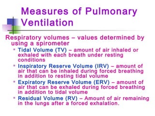 Measures of Pulmonary
Ventilation
Respiratory volumes – values determined by
using a spirometer
 Tidal Volume (TV) – amount of air inhaled or
exhaled with each breath under resting
conditions
 Inspiratory Reserve Volume (IRV) – amount of
air that can be inhaled during forced breathing
in addition to resting tidal volume
 Expiratory Reserve Volume (ERV) – amount of
air that can be exhaled during forced breathing
in addition to tidal volume
 Residual Volume (RV) – Amount of air remaining
in the lungs after a forced exhalation.
 