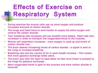 Effects of Exercise on
Respiratory System
 During exercise the muscle cells use up more oxygen and produce
increased amounts of carbon dioxide.
 The lungs and heart have to work harder to supply the extra oxygen and
remove the carbon dioxide.
 Your breathing rate increases and you breathe more deeply. Heart rate also
increases in order to transport the oxygenated blood to the muscles.
 Muscle cell respiration increases - more oxygen is used up and levels of
carbon dioxide rise.
 The brain detects increasing levels of carbon dioxide - a signal is sent to
the lungs to increase breathing.
 Breathing rate and the volume of air in each breath increase - This means
that more gaseous exchange takes place.
 The brain also tells the heart to beat faster so that more blood is pumped to
the lungs for gaseous exchange.
 More oxygenated blood is gets to the muscles and more carbon dioxide is
removed.
 