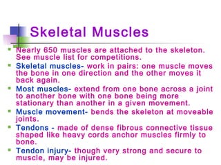 Skeletal Muscles
 Nearly 650 muscles are attached to the skeleton.
See muscle list for competitions.
 Skeletal muscles- work in pairs: one muscle moves
the bone in one direction and the other moves it
back again.
 Most muscles- extend from one bone across a joint
to another bone with one bone being more
stationary than another in a given movement.
 Muscle movement- bends the skeleton at moveable
joints.
 Tendons - made of dense fibrous connective tissue
shaped like heavy cords anchor muscles firmly to
bone.
 Tendon injury- though very strong and secure to
muscle, may be injured.
 