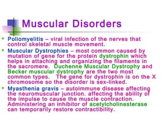 Muscular Disorders
 Poliomyelitis – viral infection of the nerves that
control skeletal muscle movement.
 Muscular Dystrophies – most common caused by
mutation of gene for the protein dystrophin which
helps in attaching and organizing the filaments in
the sacromere. Duchenne Muscular Dystrophy and
Becker muscular dystrophy are the two most
common types. The gene for dystrophin is on the X
chromosome so the disorder is sex-linked.
 Myasthenia gravis – autoimmune disease affecting
the neuromuscular junction. affecting the ability of
the impulse to cause the muscle contraction.
Administering an inhibitor of acetylcholinesterase
can temporarily restore contractibility.
 