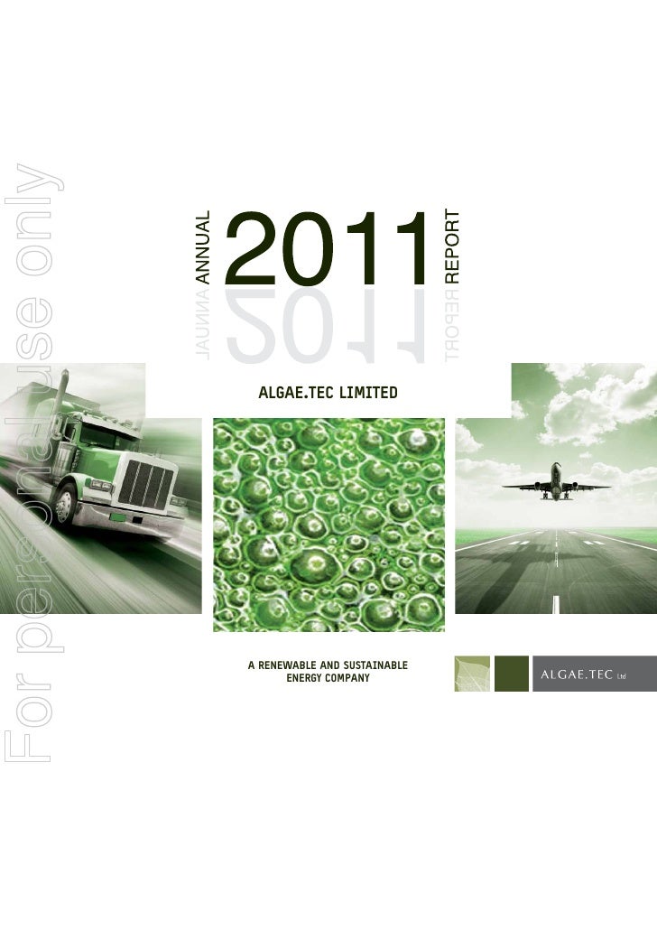 2011 annual report