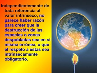 Independientemente de 
toda referencia al 
valor intrínseco, no 
parece haber razón 
para creer que la 
destrucción de las 
especies o zonas 
despobladas sea en sí 
misma errónea, o que 
el respeto a éstas sea 
intrínsecamente 
obligatorio. 
 