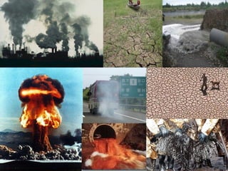 Biocentrismo: cambio de paradigma