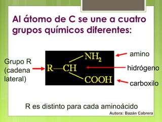 Al átomo de C se une a cuatro
grupos químicos diferentes:
Grupo R
(cadena
lateral)

amino
hidrógeno
carboxilo

R es distinto para cada aminoácido
Autora: Bazán Cabrera

 