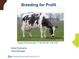 Breeding for Profit Breeding for Profit | Karel Fentsahm | 2011 |  Boukje 183 (Sunny Boy * F 16)  109.187  4.06  3.49 Karel Fentsahm Area Manager   