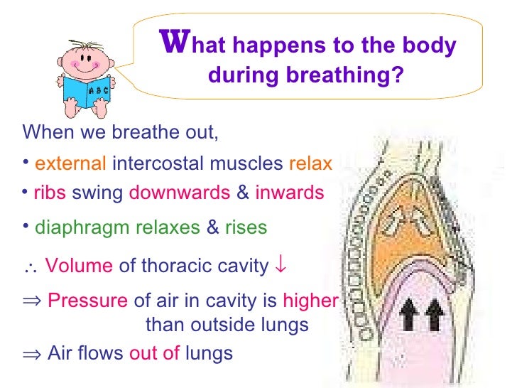 2011 cellular respiration
