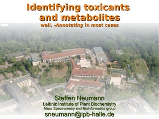Identifying toxicants  and metabolites well, - Annotating  in most cases Steffen Neumann Leibniz Institute of Plant Biochemistry Mass Spectrometry and Bioinformatics group [email_address] 