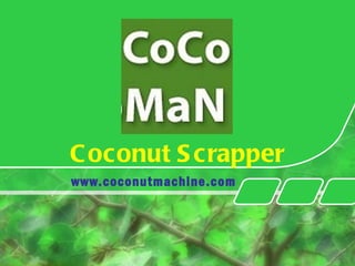 Coconut Scrapper www.coconutmachine.com 