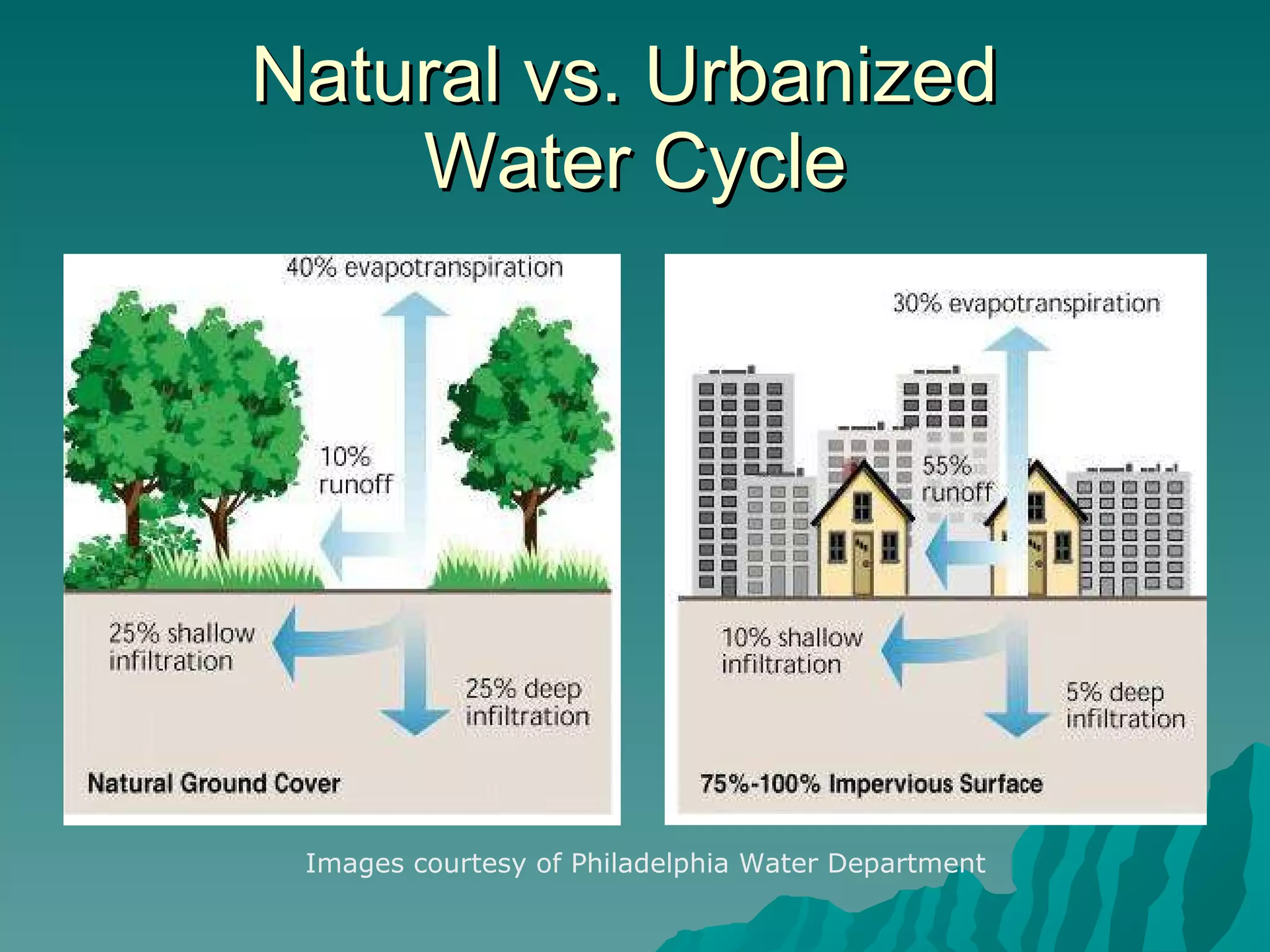 Natural vs. Urbanized  Water Cycle Images courtesy of Philadelphia Water Department 