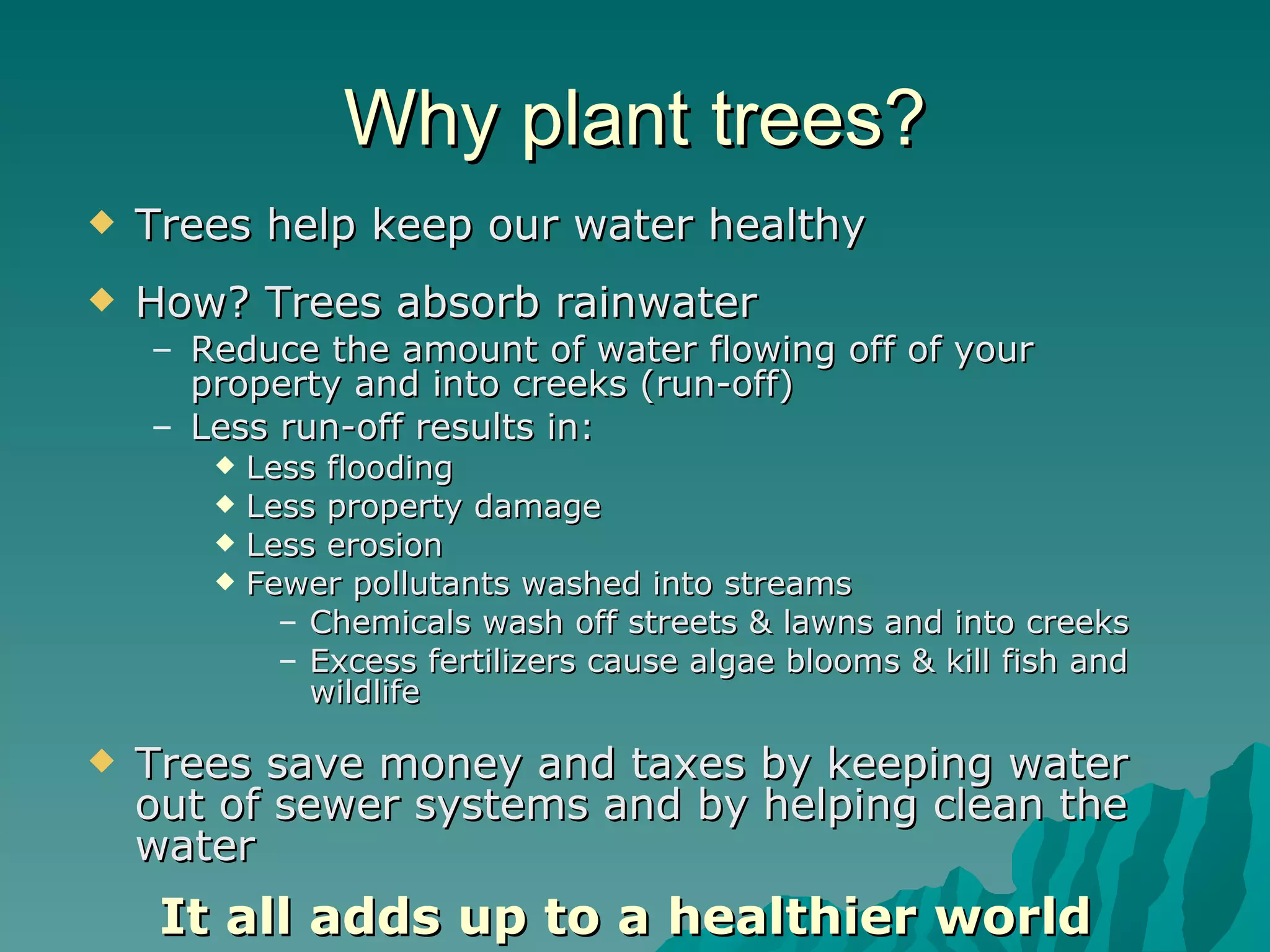 Why plant trees? Trees help keep our water healthy   How? Trees absorb rainwater Reduce the amount of water flowing off of your property and into creeks (run-off) Less run-off results in: Less flooding Less property damage Less erosion Fewer pollutants washed into streams Chemicals wash off streets & lawns and into creeks Excess fertilizers cause algae blooms & kill fish and wildlife Trees save money and taxes by keeping water out of sewer systems and by helping clean the water It all adds up to a healthier world 