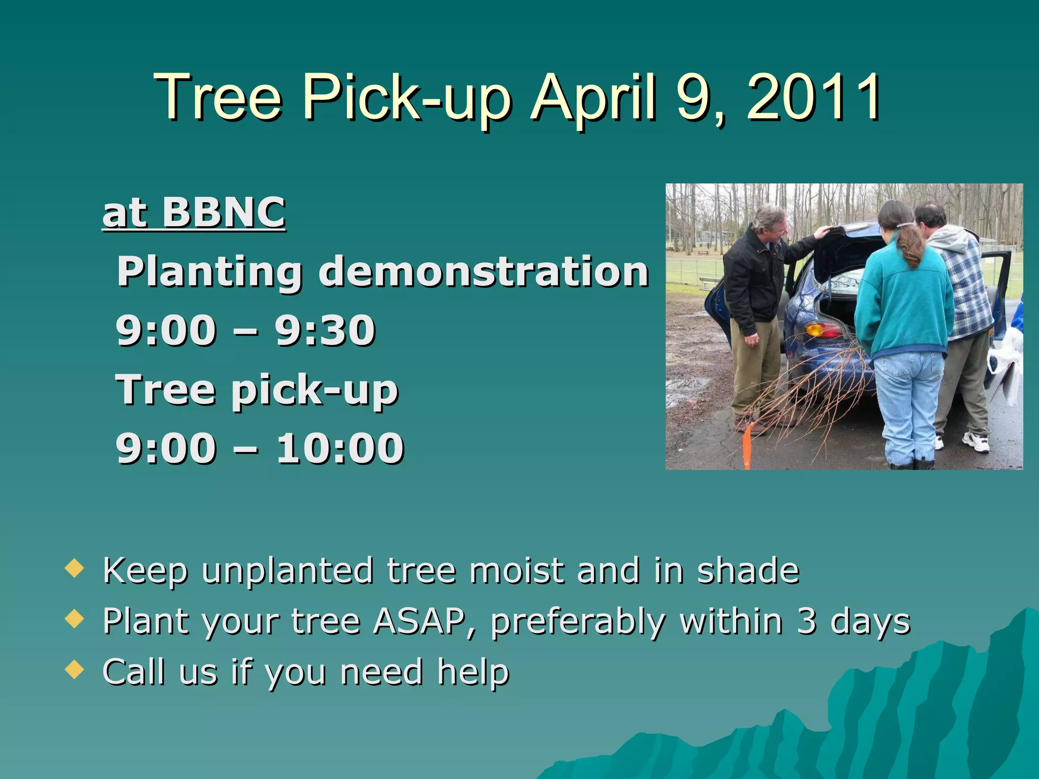 Tree Pick-up April 9, 2011 at BBNC   Planting demonstration  9:00 – 9:30 Tree pick-up  9:00 – 10:00  Keep unplanted tree moist and in shade Plant your tree ASAP, preferably within 3 days Call us if you need help 