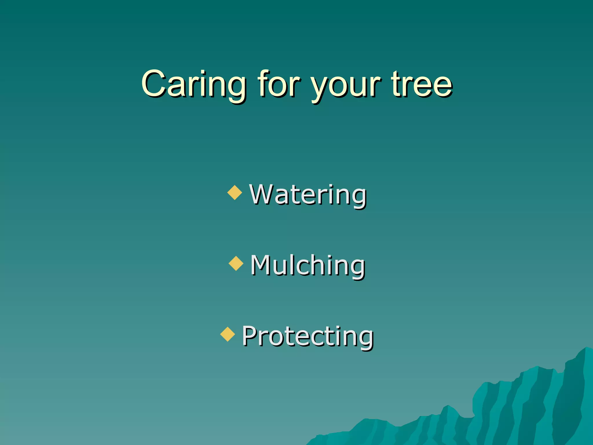 Caring for your tree Watering Mulching Protecting 