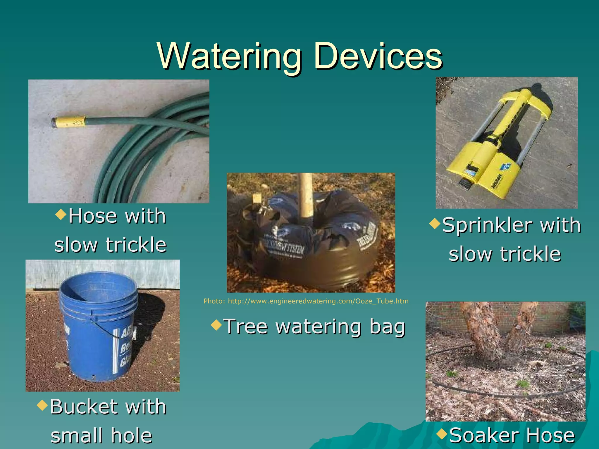 Watering Devices Hose with slow trickle Sprinkler with slow trickle Photo:   http://www.engineeredwatering.com/Ooze_Tube.htm Tree watering bag Bucket with small hole Soaker Hose 