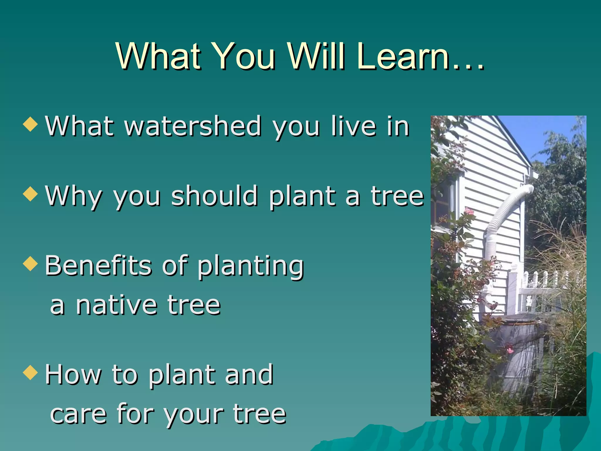 What You Will Learn… What watershed you live in  Why you should plant a tree Benefits of planting a native tree How to plant and  care for your tree 