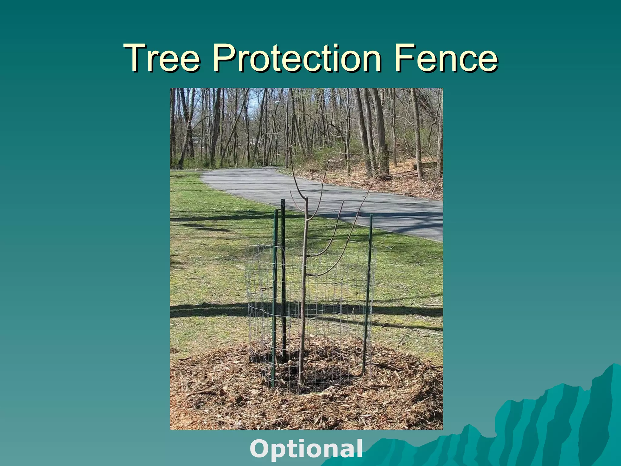 Tree Protection Fence Optional 