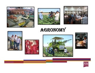 AGRONOMY
 