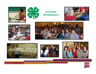 4-H Youth
Development
 