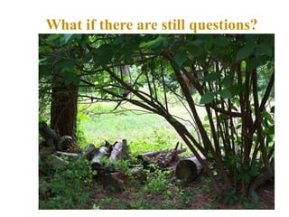 What if there are still questions? 