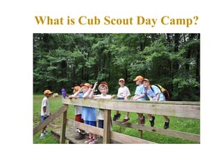 What is Cub Scout Day Camp? 